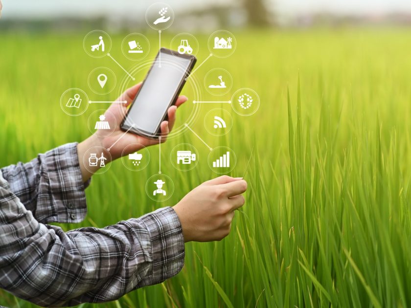Agriculture technology farmer man using smartphone analysis data