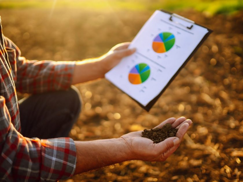 Expert hand of farmer checking soil health before growth a seed of vegetable or plant seedling. Expert hand of farmer checking soil health before growth a seed of vegetable or plant seedling.